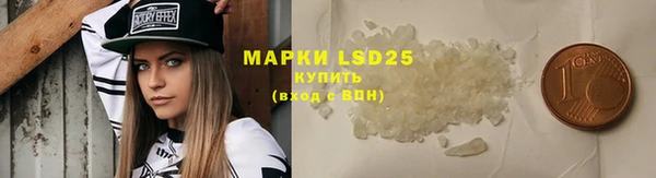 стафф Осинники