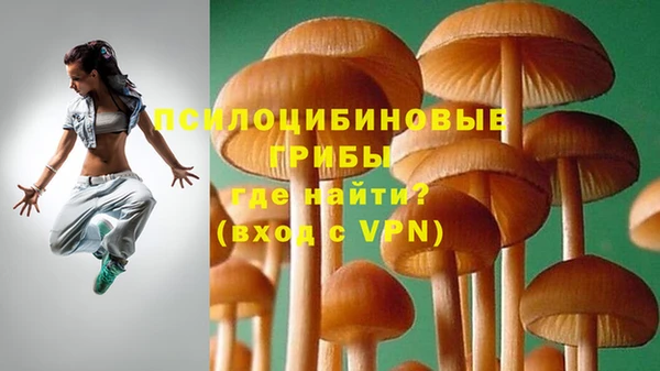 МДМА Нязепетровск
