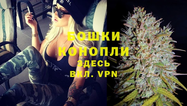 PSILOCYBIN Няндома